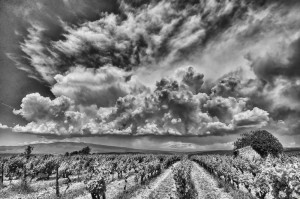 Paysages de Provence en noir et blanc