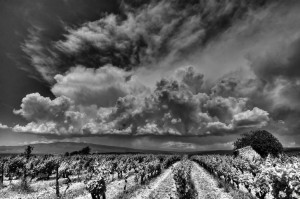 Paysages de Provence en noir et blanc