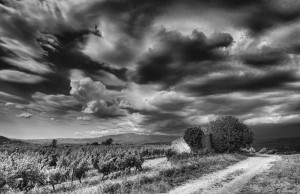 Paysages de Provence en noir et blanc