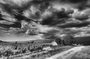 Paysages de Provence en noir et blanc