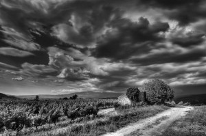 Paysages de Provence en noir et blanc