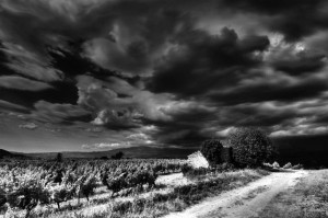 Paysages de Provence en noir et blanc