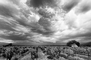 Paysages de Provence en noir et blanc