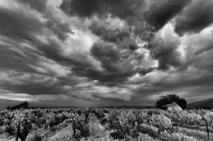 Paysages de Provence en noir et blanc