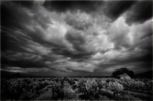 Paysages de Provence en noir et blanc