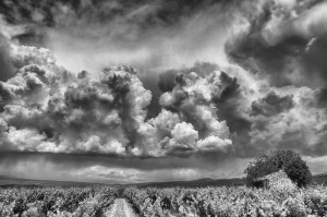 Paysages de Provence en noir et blanc