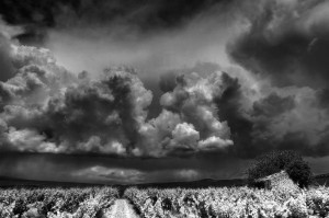 Paysages de Provence en noir et blanc