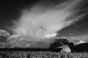 Paysages de Provence en noir et blanc