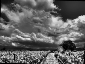 Paysages de Provence en noir et blanc