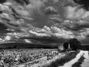 Paysages de Provence en noir et blanc