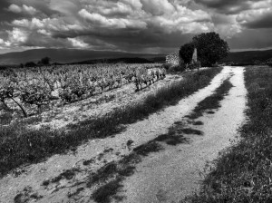 Paysages de Provence en noir et blanc