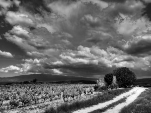 Paysages de Provence en noir et blanc