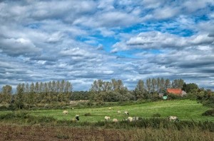 Paysage de campagne et nuages